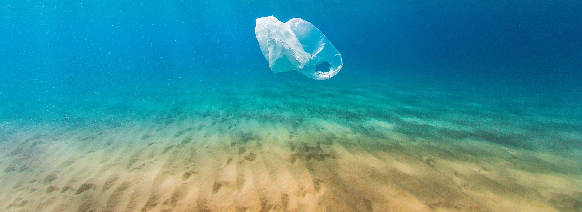 Plastic bag pollution in ocean - Credit: iStock.com/lindsay_imagery